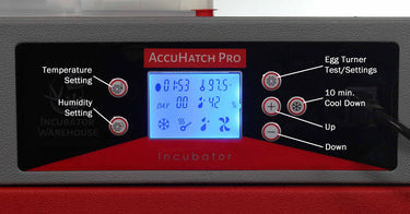 Cabinet Incubator